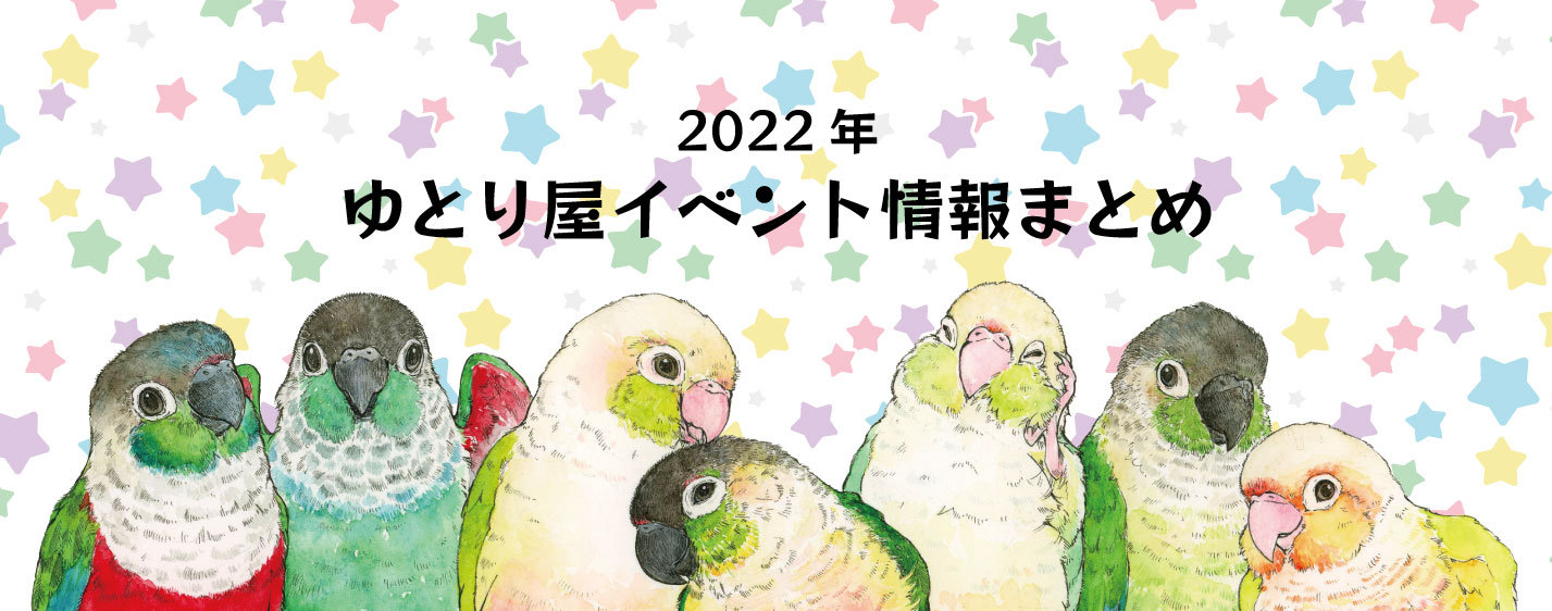 無料公開 ことりのスマホ待受画面 鳥のこと ゆとり屋